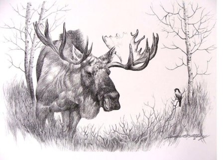 Рисунки карандашом