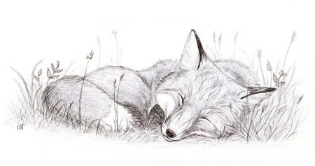 Лошадь рисунок карандашом