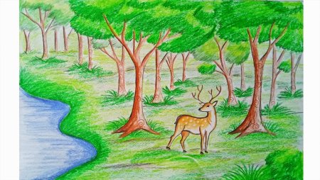 Рисунки карандашом звери и животные