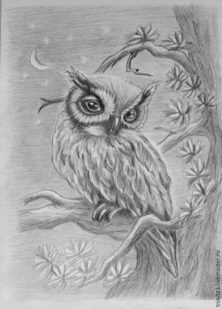 Рисунки карандашом природа