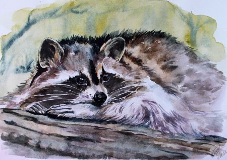 Красивые рисунки акварелью для начинающих