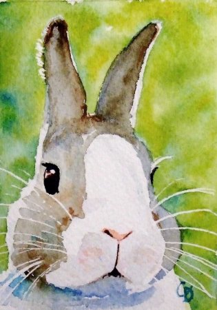 Красивые рисунки животных