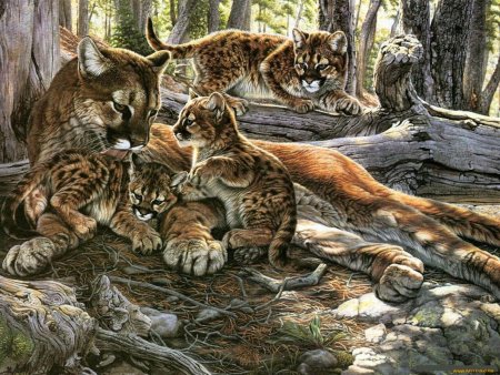 Раскраска Лесные животные