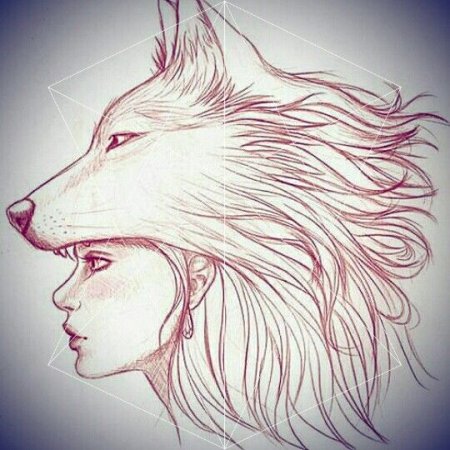 Волк и девушка рисунок карандашом