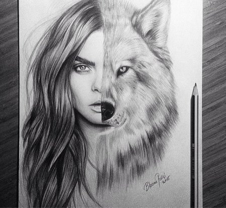 Лошадь карандашом