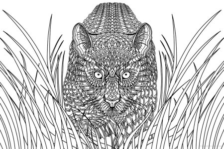 Раскраска антистресс Рысь