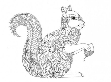 Раскраска антистресс белка