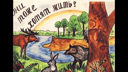 Плакат берегите животных
