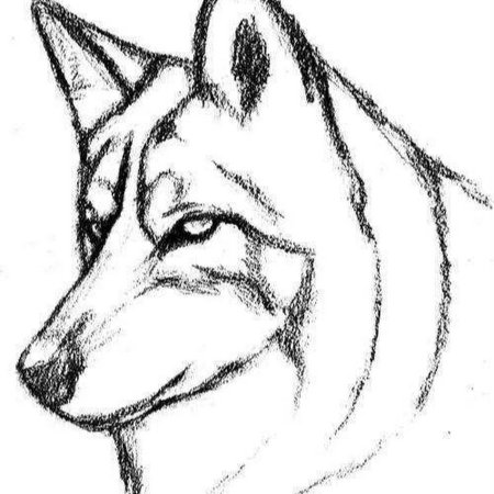 Рисунки для срисовки маленькие животные