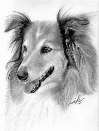 Рисунки карандашом