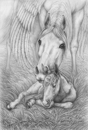 Рисунки карандашом животные