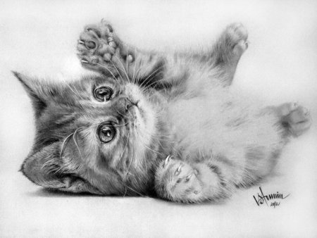 Котенок карандашом