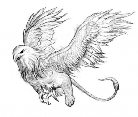 Грифон карандашом