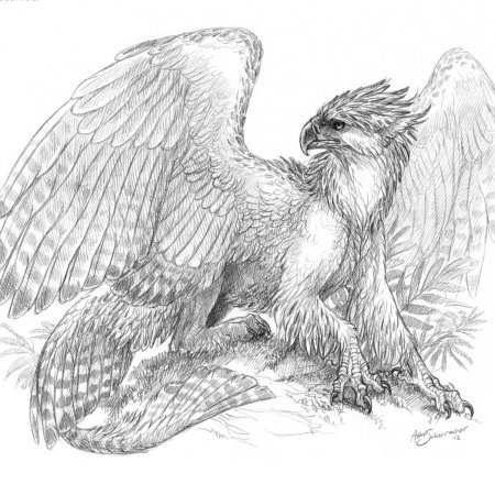 Грифон черно белый