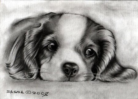 Карандашом тоскующая собака