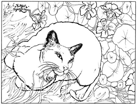 Раскраска собачка