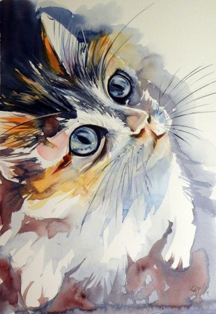 Kovacs Anna Brigitta Watercolor коты