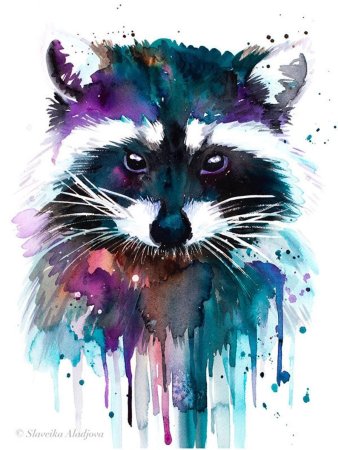 Racoon арт