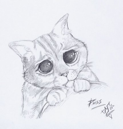 Милые рисунки