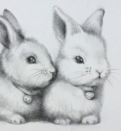 Рисунки животных лёгкие дл срисовки