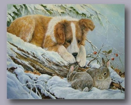 Shirley Deaville картины