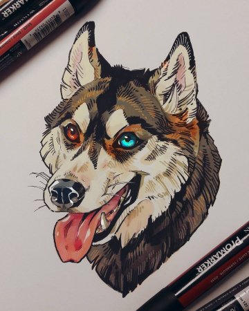 Животные маркерами