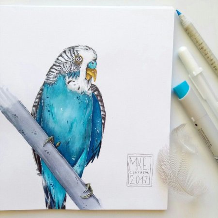 Скетчинг маркерами попугай