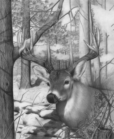 Зимний лес карандашом