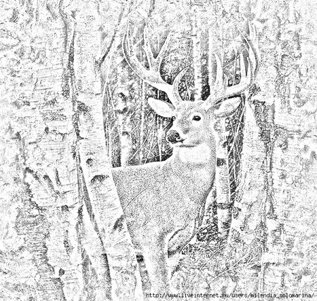 Рисунки на тему природа и животные