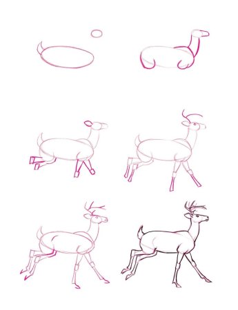 Поэтапное рисование