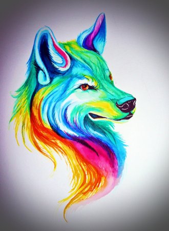 Рисунки цветные