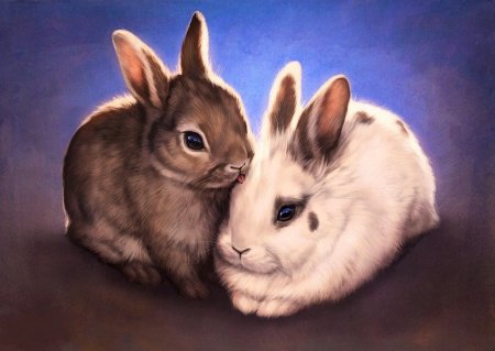 Красивые рисунки животных