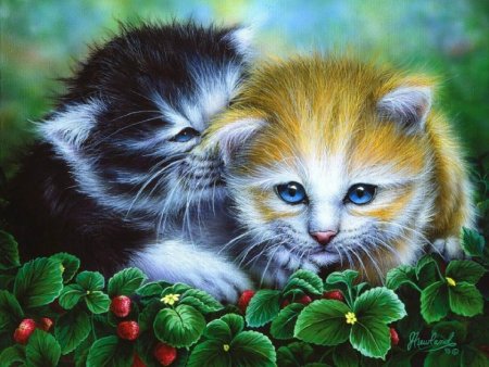 Яркие рисунки животных