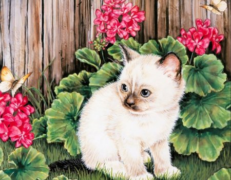 Кошки Персис Клейтон