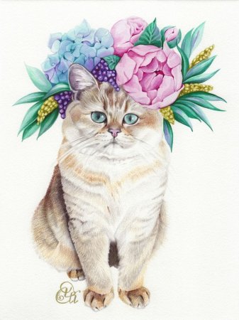 Кот с цветами карандашом