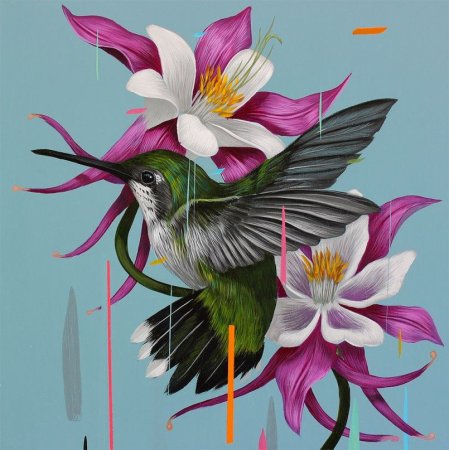 Рисунок кролика для срисовки