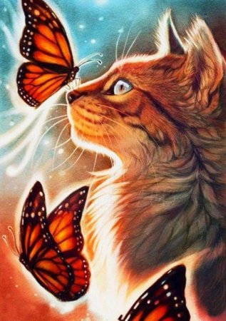 Фэнтези кошки