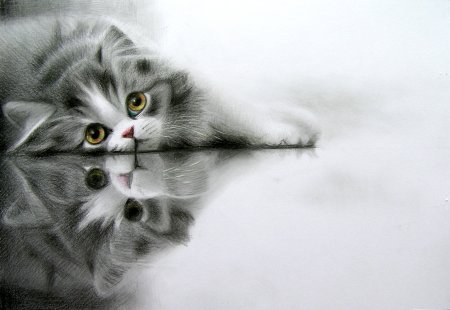 Красивые рисунки котиков