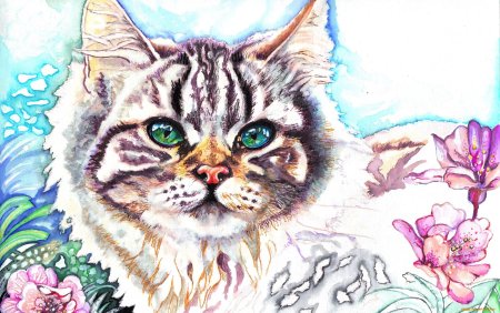 Кот рисунок