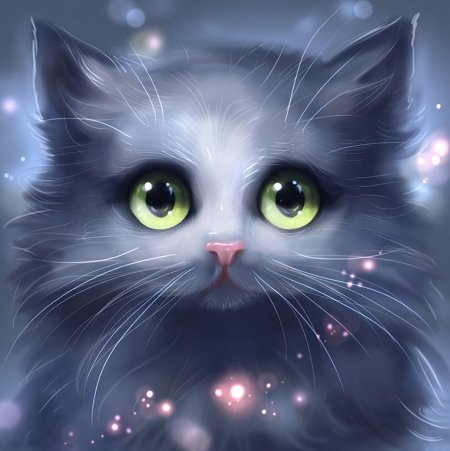 Аватарки кошки