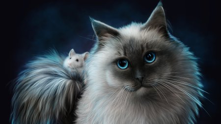 Котята арт красивые