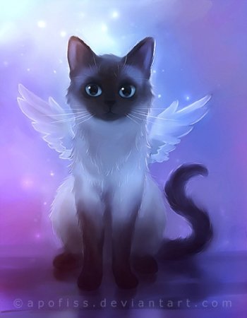 Картины Rihards Donskis коты