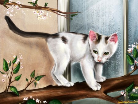 Мультяшные коты