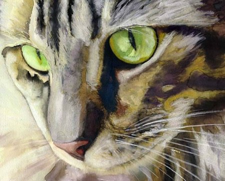 Акварельные кошки