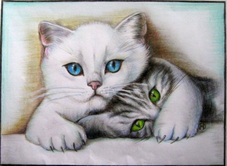 Котик карандашом