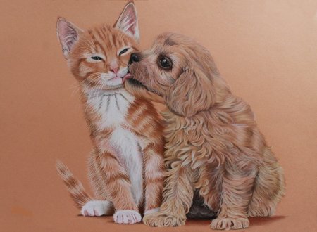 Рисунки котов карандашом