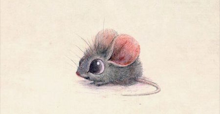 Сидни Хэнсон Sydney Hanson