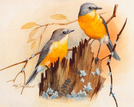 Птицы художника Eric Shepherd