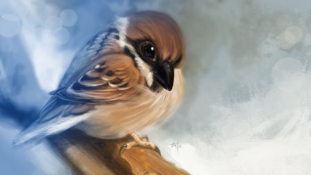 Пенни Паркер картины