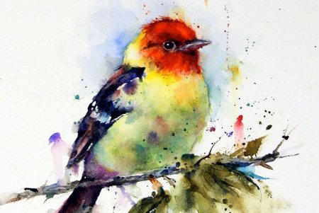 Птицы цветными карандашами